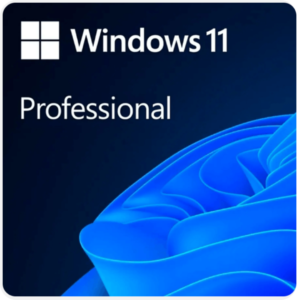 Windows 11 Profesional ESD